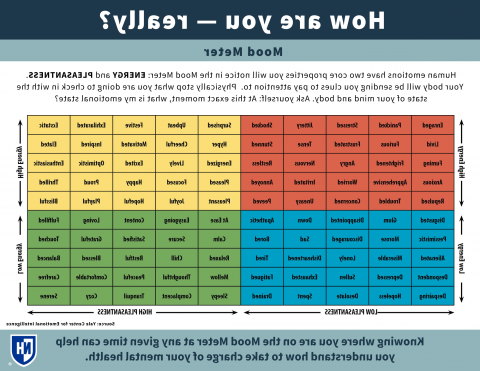 Mood Meter 